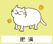 【3匹の愛猫で食べ比べ!!】キャットフードおすすめランキング