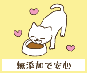 5種類の人気キャットフードを愛猫3匹で食べ比べ!!